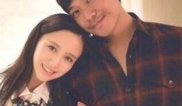 一代名媛陈思诚最新爆料,独家爆料引热议